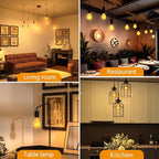 HESSION A19 Vintage LED Edison Bulbs, 4W Equivalent 40W Dimmable LED Bulbs, 400 Lumens 2300K Amber Warm Light Bulbs, E26 Base Decorative Antique Spiral A19 Light Bulb for Light Fixture, Pack of 4