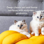 Clean Revolution SuperCharged Multi Surface Cleaner Refill Supply, Non-Toxic, Eco-Friendly & Plant-Based, Ready to Use, Lemon & Herbs, 18 oz (Pack of 1)