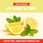 Rebel Green Natural All-Purpose Cleaning Spray - Plant-Based Multi-Surface Cleaner with Essential Oils for Kitchen, Bath, Countertops and More - Peppermint & Lemon Scent - 16 oz - 1 Pack