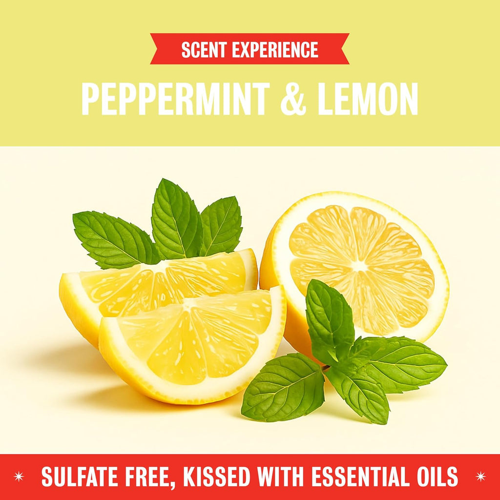 Rebel Green Sparkling Glass Cleaner (Peppermint & Lemon, 80 Fl Oz (Pack of 2))