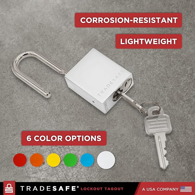 TRADESAFE Lockout Tagout Locks Set - 10 Silver Aluminum Loto Locks, Lock Out Tag Out Padlocks Keyed Alike, 2 Keys Per Lockout Padlock, OSHA Compliant