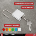 TRADESAFE Lockout Tagout Locks Set - 10 Silver Aluminum Loto Locks, Keyed Different Lock Out Tag Out Padlocks, 2 Keys Per Lockout Padlock, OSHA Compliant