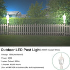 LIT-PaTH LED Outdoor Post Lighting Fixture, Pole Lantern, 9.5W 800 Lumens, 5000K Daylight White, Aluminum Housing Plus Glass, Matte White Finish, 2-Pack