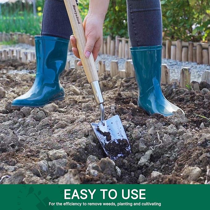 Berry&Bird Garden Trowel with Long Handle, 23.43in Stainless Steel Short Shovel with Wood Handled for Digging, Gardening, Transplanting, Planting and Weeding