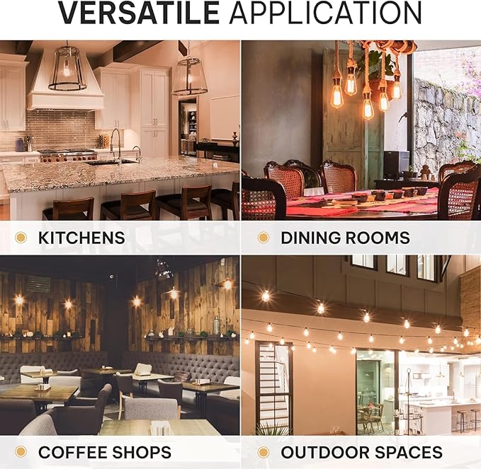 HUDSON BULB CO. Vintage Edison Incandescent 60W 12-Pack Light Bulbs - Antique ST64 Dimmable 2100K Warm Decorative Squirrel Filament - E26/E27 Base for Indoor Outdoor - Lightbulb - Outdoor Light