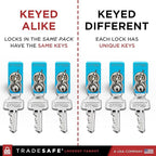 TRADESAFE Lockout Tagout Locks Set - 10 Blue Aluminum Loto Locks, Keyed Different Lock Out Tag Out Padlocks, 2 Keys Per Lockout Padlock, OSHA Compliant