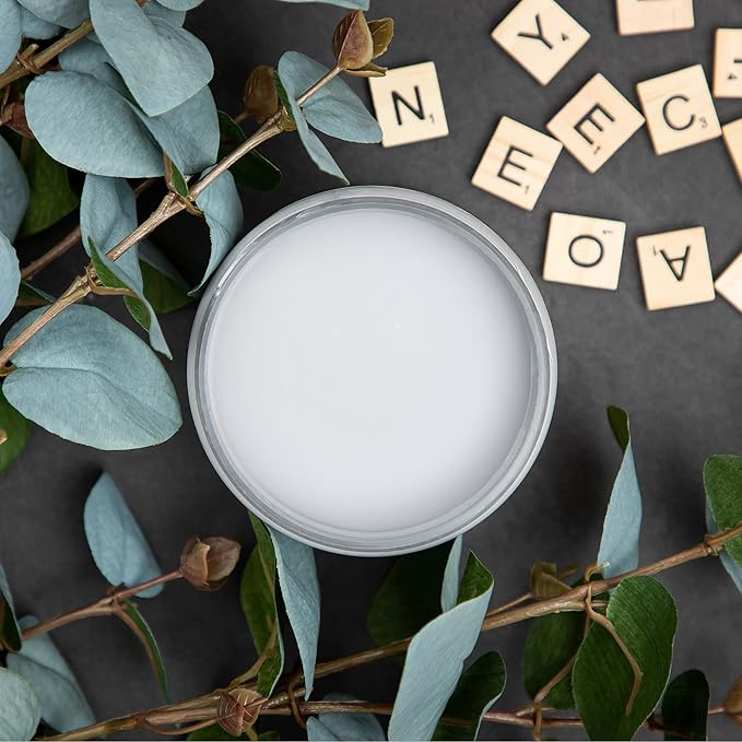 Dixie Belle Paint Company Chalk Finish Furniture Paint - Manatee Gray (8oz) - Matte Light Gray Chic Chalk Mineral DIY Furniture Paint