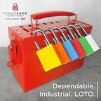 TRADESAFE Lockout Tagout Locks Set - 10 Silver Aluminum Loto Locks, Keyed Different Lock Out Tag Out Padlocks, 2 Keys Per Lockout Padlock, OSHA Compliant