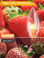 25 Pack Clear Torpedo Tip Replacement Bulbs, 7 Watt C26 Incandescent Bulbs for Electric Candle Lamps, Window Candles, Chandeliers, E12 Candelabra Base Light Bulbs