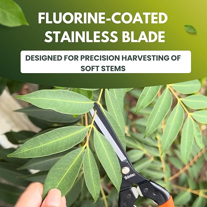 Saboten 7.9" Professional Japanese Harvesting Shears – Straight Blade, Stainless Steel with Fluorine Coating, Spring-Loaded, Ergonomic Grip – forest Originals, Made in Japan