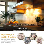 Par20 Halogen Flood Light Bulb, 39W 120V PAR20 Light Bulb, Dimmable, E26 Base, 2700K Warm White, 3000 Hours for Indoor Range Hood, Track Oven, Ceiling Can Lamp（12Pack）