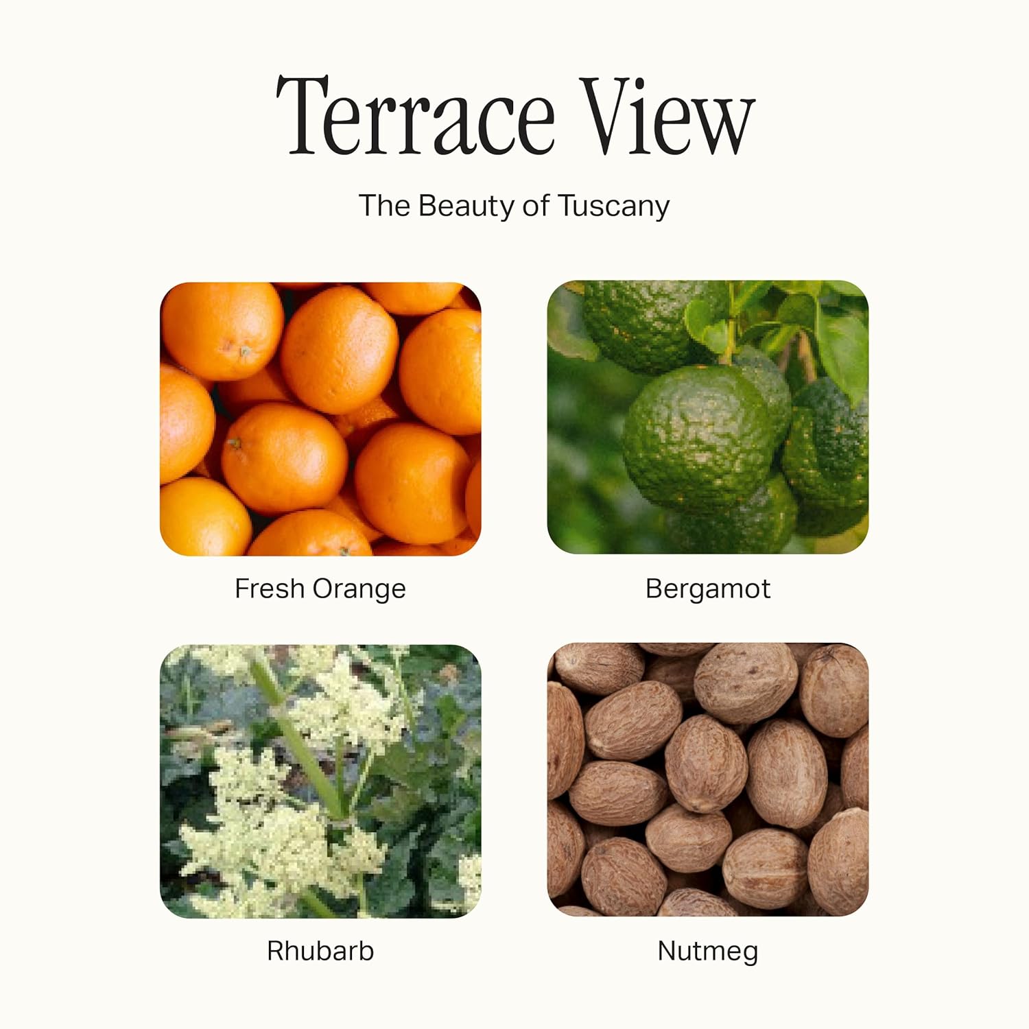 Preston Lane Luxury Kitchen Set – Hand Wash, Dish Soap & All-Purpose Cleaner | Plant-Powered Cleaning Essentials Bundle with Fine Italian Fragrance, Highrise Scent