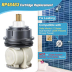 Enhon 2 Pack Shower Cartridge Replacement, RP46463 Cartridge Replacement Compatible with Delta Monitor 17 Series (2006 - Present) Dual Function Shower Faucet Valve, Including Seat and Spring Adapter