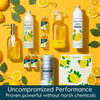 Grove Co. Tub and Tile Cleaner, Refill Concentrate (6 x 1 Fl Oz) Plant-Based Household Cleaning Supplies, No Plastic Waste, 100% Natural Lemon & Eucalyptus Fragrance, 3 x 2 Pack Refills