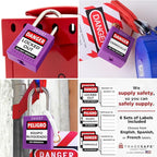 TRADESAFE Lockout Tagout Locks Set - 10 Purple Keyed Alike Padlocks, 2 Keys Per Lock, OSHA Compliant Loto Locks for Lock Out Tag Out Stations, Premium Grade