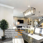 11.8IN 1000LM 5000K Daylight White Light Bulbs E26 Base, T10 T9 Edison Bulbs Dimmable 8W, AC 120V 100 Watt Equal Filament Bulb, Vintage Clear Glass Long Tubular LED Bulb, UL Listed - 4Pack