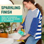 Aunt Fannie's All Purpose Household Cleaner, Multi-surface Spray, Powered by Vinegar for Kitchen, Bath, Windows and Countertops, Lemon Scent (Pack of 6)