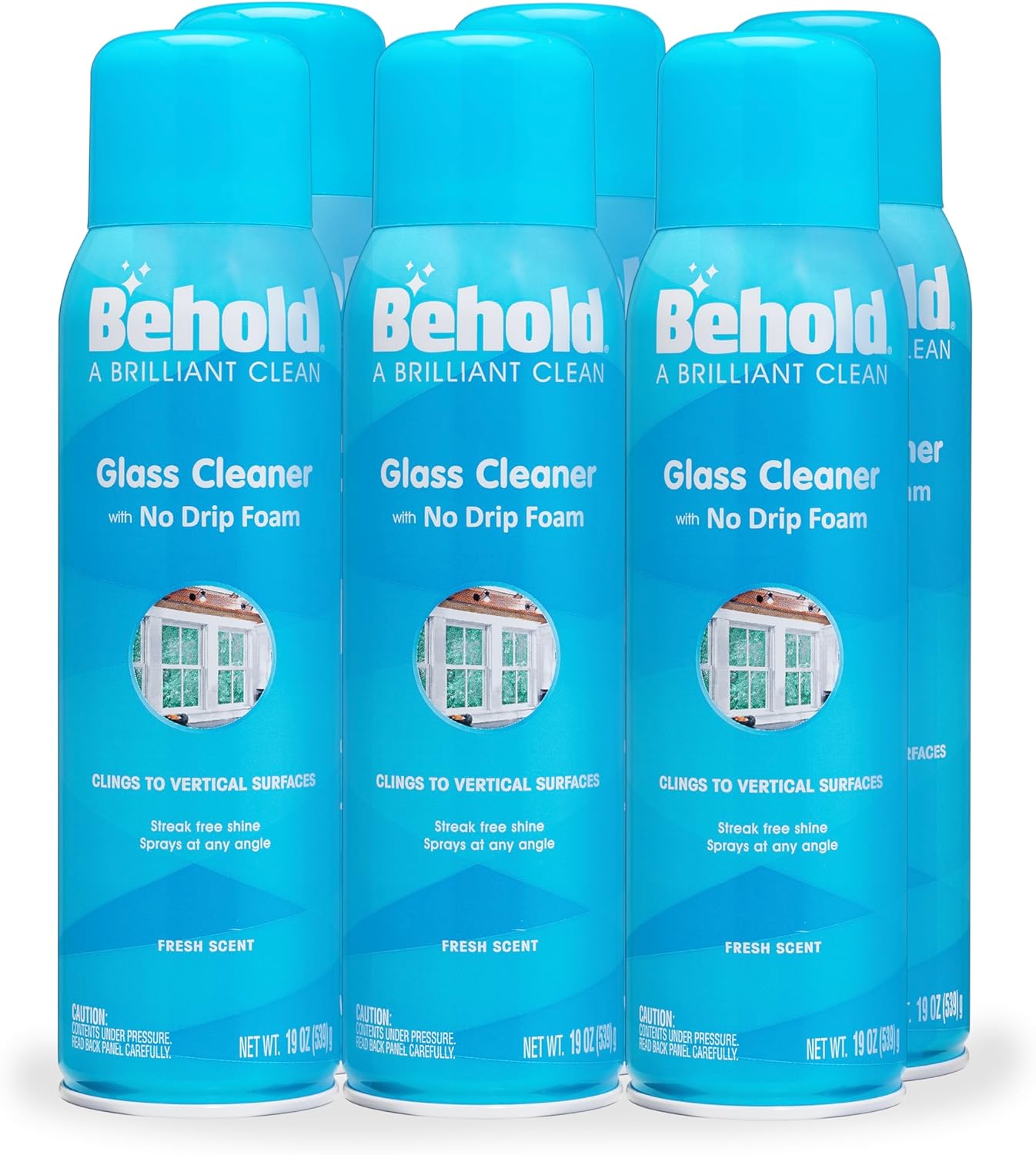 Behold Glass Cleaner