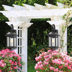 Darkaway 2pcs Outdoor Lights Fixtures Wall Mount, Large 22inch Outdoor Wall Sconce Lights with Seeded Glass Waterproof Outside Exterior Lights Fixture for House Front Porch Patio