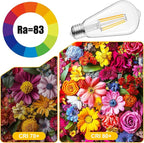 Brightown 12 Pack LED Edison Bulbs, 6W, Equivalent 60W, High Bright 2700K Warm White,750 Lumens, Non-Dimmable, E26 Medium Base ST58 Antique Filament Bulbs with 83+ CRI for Ceiling Fan Bathroom Porch