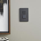 Legrand radiant TM873GCC10 15 Amp Rocker Wall Switch, 3-Way Decorator Light Switches, Graphite (1 Count)