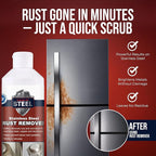 Stainless Steel Rust Stain Remover & Cleaner, NSF Approved Safe for Food Areas. Non-Toxic Stainless Steel Cleaner for Appliances is Perfect for Commercial Use, Your Fridge, Best Knife, Pan (17 oz)