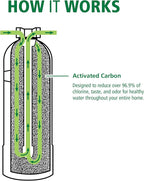 AO Smith Whole House Water Filter System - Whole Home Filtration for Well & City Water - Filters 96.9% of Chlorine Taste & Odor - 6 yr, 600,000 Gl, AO-WH-Filter