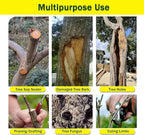 Tree Pruning Sealer with Brushes/Gloves, 500G Tree Wound Dressing Ready-to-Use Tree Protective Seal for Trees, Shrubs, Roses