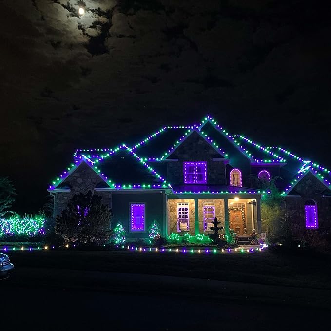 Wintergreen Lighting OptiCore C9 LED Christmas Light Bulbs - Replacement LED Christmas Lights Heavy Duty Premium Outdoor Christmas Lights, E17 Base (Box of 25) (Purple Faceted)