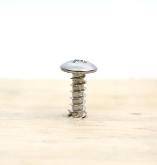 Bolt Dropper #8 x 3/4 inch Stainless Truss Head Phillips Wood Screw (100 Piece) 18-8 (304) Stainless Steel Screws, ssd Screws