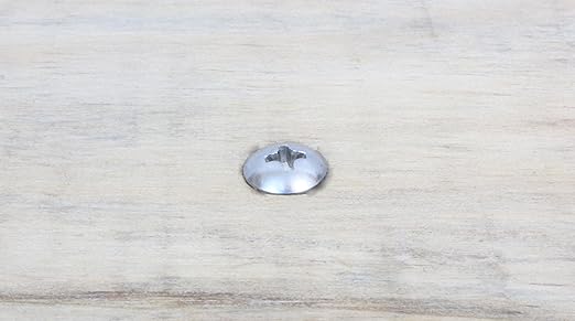 Bolt Dropper #8 x 3/4 inch Stainless Truss Head Phillips Wood Screw (100 Piece) 18-8 (304) Stainless Steel Screws, ssd Screws