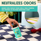 Aunt Fannie's Bundle: Floor Cleaner Vinegar Wash, Bright Lemon + Carpet Refresher, Bright Lemon