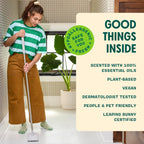 Aunt Fannie's Ultra Concentrated Floor Cleaner Vinegar Wash, Multi-Surface Solution For Mopping, Makes 16 Gallons, Eucalyptus Scent, 32 oz. (Pack of 3)