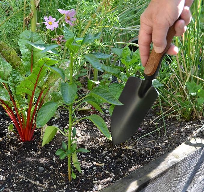 Olmsted Forge Garden Tool Set, 5 Pieces, Heavy Duty Powder Coated Steel, Cork Handle