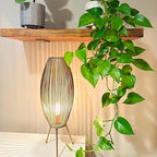 Plug in Pendant Light Cord Kit - UL 20Ft Lamp Cord with On/Off Switch and Bulb Socket E26 E27, White Extension Electric Wire for DIY Hanging Lanterns, 1 Pack