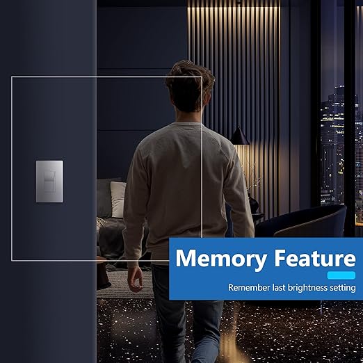 LIDER Dimmer Paddle Switch for Dimmable 300W LED/CFL Lights, 1-Pole or 3-Way, 120 V, Modern Upgrade, UL Listed, Screwless Wall Plate Included, Silver