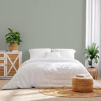 Rust-Oleum Color Spark Interior Paint and Primer in One, Eggshell, Thyme Flies, 1 Gallon