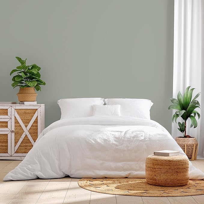 Rust-Oleum Color Spark Interior Paint and Primer in One, Matte, Thyme Flies, 1 Gallon