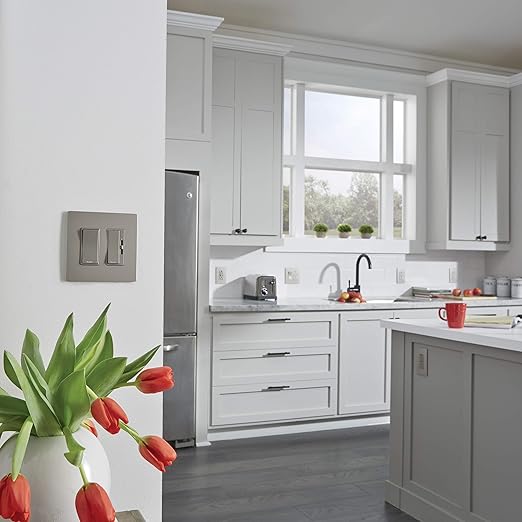 Legrand - Pass & Seymour 15 Amp Light Switch with Rocker Wall Switch, Nickel Single Pole Rocker Light Switch, TM870NICC10, 1 Count (Pack of 2)