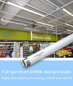 (10pack) 48 inch F32T8/865 Fluorescent Tube Light,4FT 32Watts 6500K Full Spectrum Daylight Bulb,Ra83 High Transparent Replacement for Ceiling Lights,Fish Tank Bulb