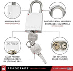 TRADESAFE Lockout Tagout Locks Set - 10 Silver Aluminum Loto Locks, Keyed Different Lock Out Tag Out Padlocks, 2 Keys Per Lockout Padlock, OSHA Compliant