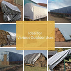 GUARD SHIELD Heavy Duty Tarp 30x40 Feet Silver Multi Purpose Thick Waterproof Poly Tarp Cover 10mil
