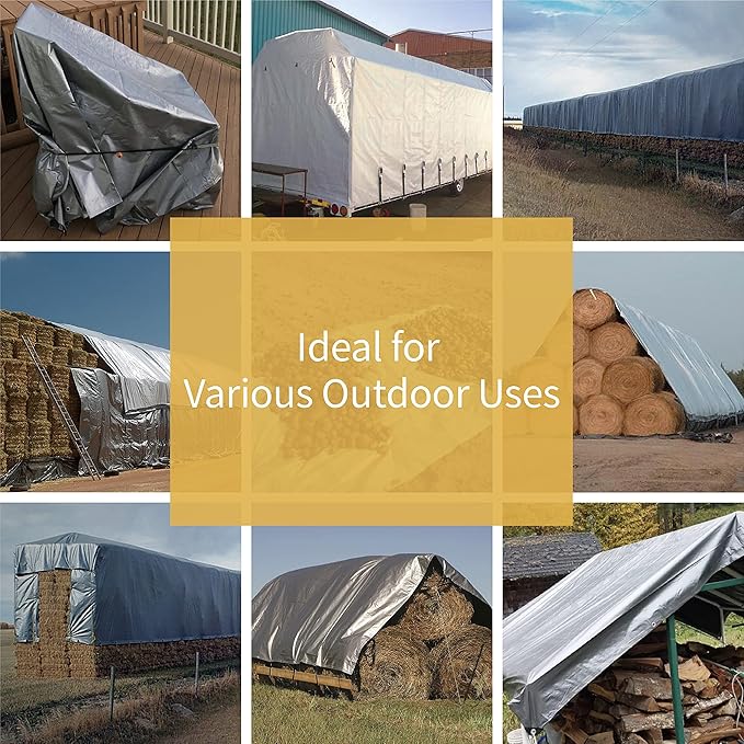 GUARD SHIELD Heavy Duty Tarp 30x30 Feet Silver Multi Purpose Thick Waterproof Poly Tarp Cover 10mil