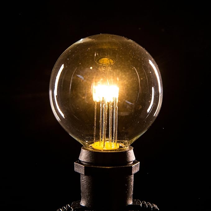 Hometown Evolution, Inc. 25 Foot C9 Commercial LED G50 Globe String Lights with 20 LED G50 Clear 2 Inch .6 Watt Bulbs and Black Wire