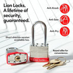 Lion Locks 24 Keyed Alike Padlocks with 2" Long Shackle, 48 Keys - Padlocks for Outdoor Use, Locks with Keys, Hardened Steel Case, Pick Resistant Brass Pin Cylinder for Hasp Latch, Locker, Gate