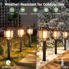 XMCOSY+ Solar Pathway Lights Outdoor, 2-Tone LED Waterproof Garden Outdoor Lighting for Yard Stainless Steel & Glass Solar Powered Landscape Walkway Driveway Decor (Warm White)