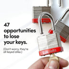 Lion Locks 24 Keyed-Alike Padlocks w/ 1.25” Shackle, 48 Keys, Hardened Steel Case, Brass Cylinder (24-Pack) - for Hasp Latch, Sheds, Fences, Storage Locker, School, Gym