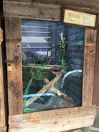 ABUS 80015 Rekeyable Steel Keyed Different Padlock