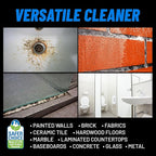 CLR PRO Heavy Duty Bleach-Free Mold and Mildew Stain Remover, 1 Gallon Bottle, Unscented Multi-Surface Stain Remover, Works on Tile, Wood, Concrete, Glass and More