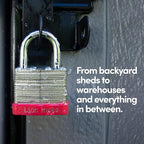 Lion Locks 24 Keyed-Alike Padlocks w/ 1.25” Shackle, 48 Keys, Hardened Steel Case, Brass Cylinder (24-Pack) - for Hasp Latch, Sheds, Fences, Storage Locker, School, Gym